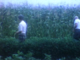 Corn Stalks - Home Movie Clips