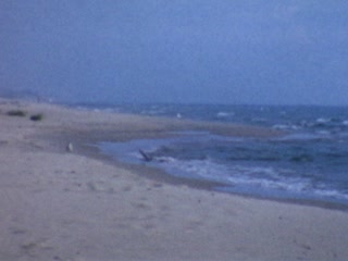 Lake Huron - Home Movie Clips