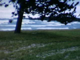 Marquette - Home Movie Clips