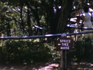 Spruce Tree House - Home Movie Clips