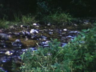 Hendricks Township - Home Movie Clips