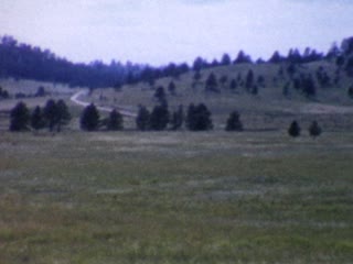 Drama of the Land Sign - Home Movie Clips