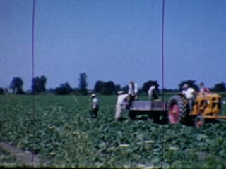 Harvesting - Home Movie Clips