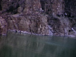 Cody - Home Movie Clips