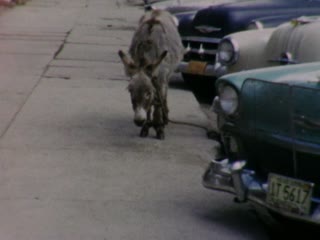 Cripple Creek - Home Movie Clips