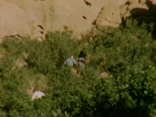 Garden of the Gods - Home Movie Clips