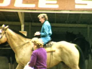 Garden of the Gods Stables - Home Movie Clips