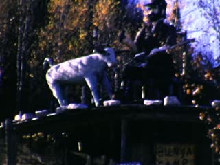 Castle Rock - Home Movie Clips