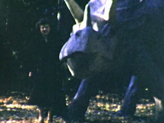 Dinosaur Gardens - Home Movie Clips