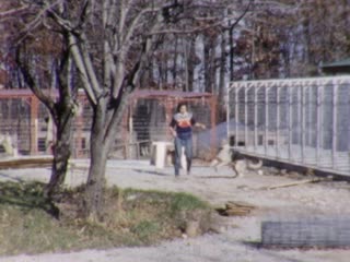 Kennels - Home Movie Clips