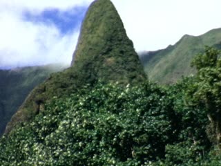 Iao Valley State Park - Home Movie Clips
