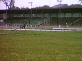 Sulky - Home Movie Clips