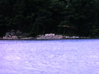 St. Lawrence River - Home Movie Clips