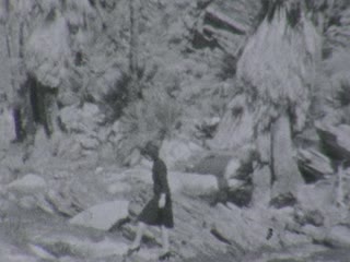 Palm Springs - Home Movie Clips