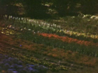 Victoria - Home Movie Clips