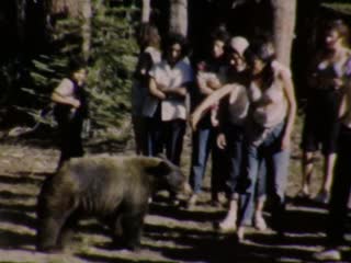Big Trees State Park - Home Movie Clips