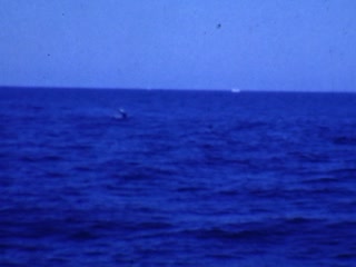 Ocean - Home Movie Clips