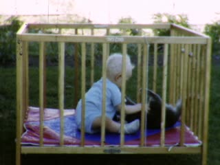 Cats and Dogs - Home Movie Clips