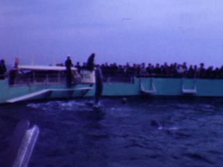 Marineland - Home Movie Clips