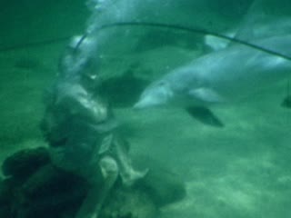 Divers - Home Movie Clips