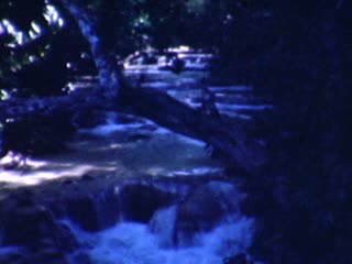 Dunn's River Falls - Home Movie Clips