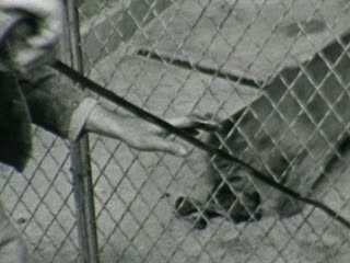 San Antonio Zoological Gardens and Aquarium - Home Movie Clips