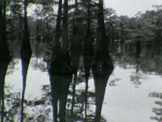 Bayou - Home Movie Clips