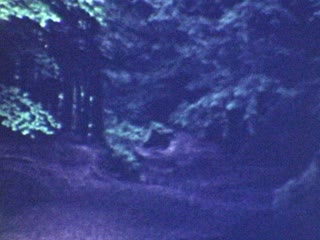 Hocking Hills State Park - Home Movie Clips