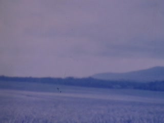 Pineapple Fields - Home Movie Clips