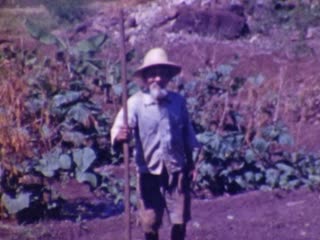 Huts - Home Movie Clips