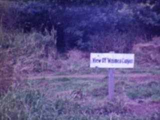 Waimea Canyon - Home Movie Clips