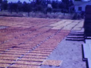 Kneeling - Home Movie Clips