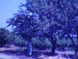 Picking - Home Movie Clips