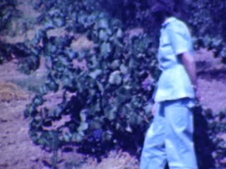 Grapes - Home Movie Clips