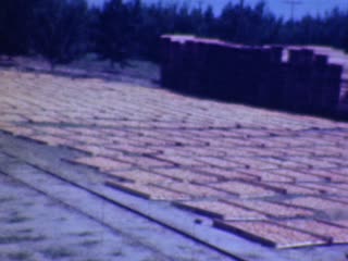 Drying Fruit - Home Movie Clips