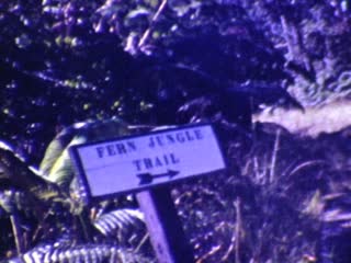 Trailhead - Home Movie Clips