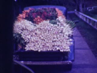 Vegetables - Home Movie Clips