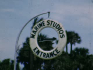 Marine Studios - Home Movie Clips