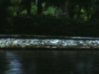 Bonnie Ray - Home Movie Clips