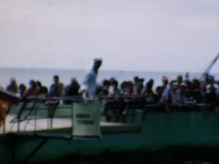 Dolphins - Home Movie Clips