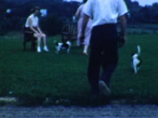 Pink Flamingos - Home Movie Clips