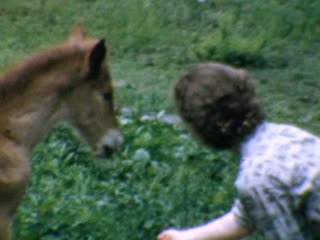 Colts - Home Movie Clips