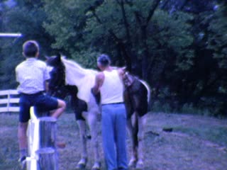 Saddling - Home Movie Clips