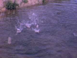 Fisheries - Home Movie Clips