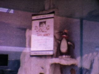 Penguins - Home Movie Clips