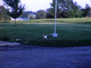 Flagpoles - Home Movie Clips