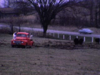 Feeding - Home Movie Clips