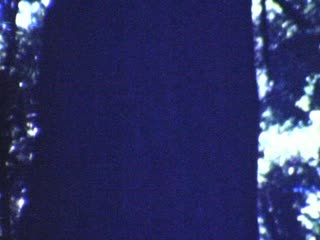 General Grant - Home Movie Clips