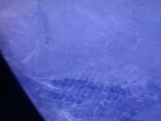 TWA - Home Movie Clips