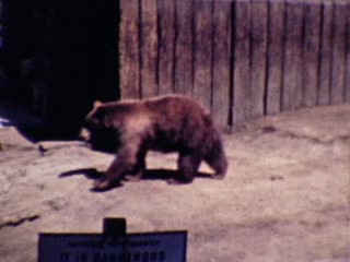 Exhibits - Home Movie Clips